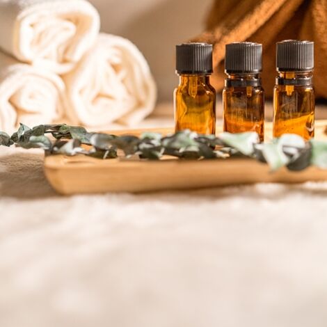 23650944_s
